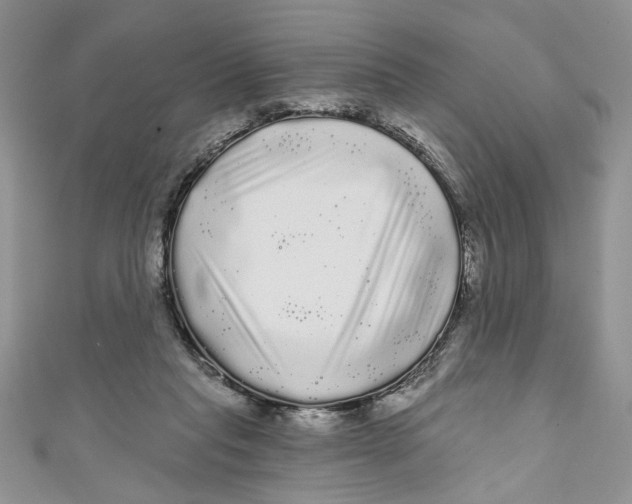 X0000111050261200907161411