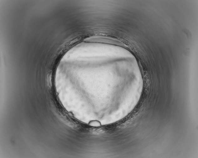 X0000111050262200907161411