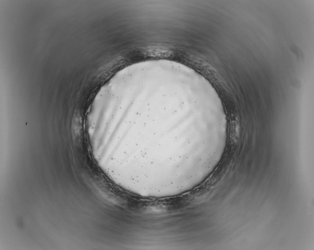 X0000111050263200907161411