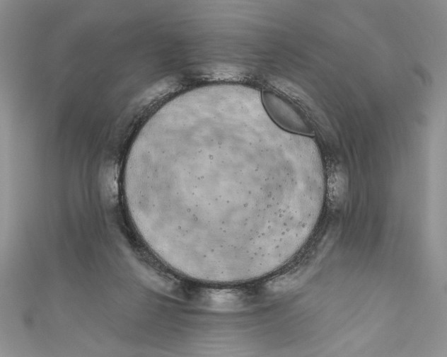 X0000111050264200907161411