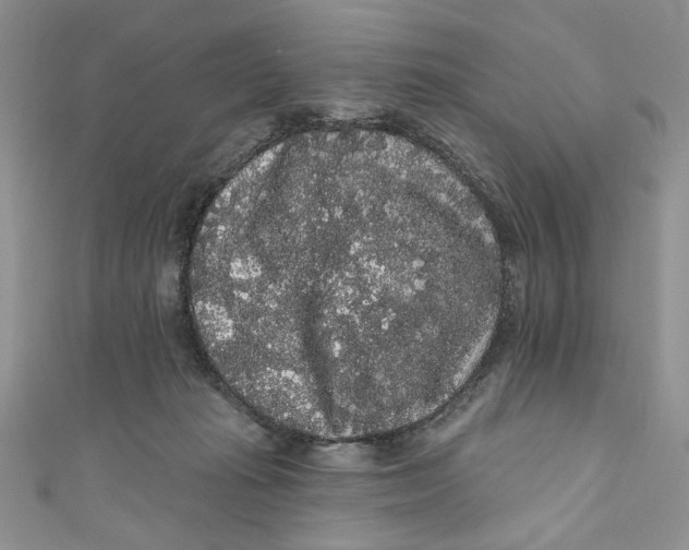 X0000111050269200907161411