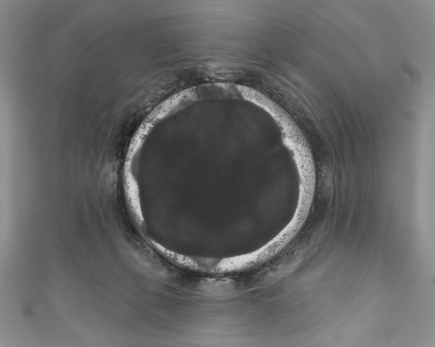 X0000111050271200907161411