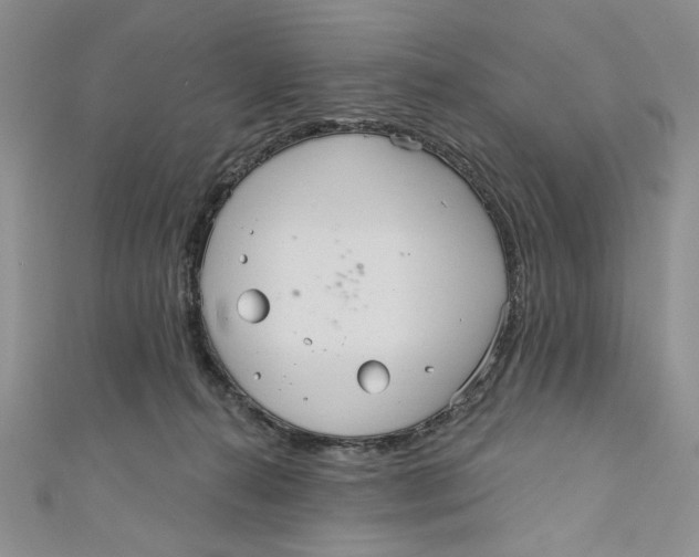 X0000111050272200907161411