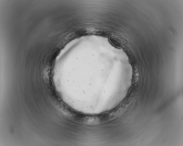 X0000111050275200907161411