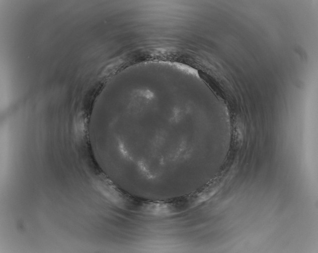 X0000111050276200907161411