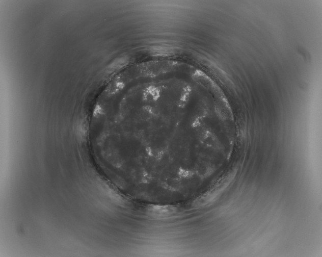 X0000111050277200907161411