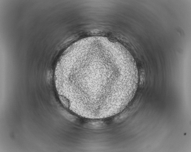 X0000111050278200907161411