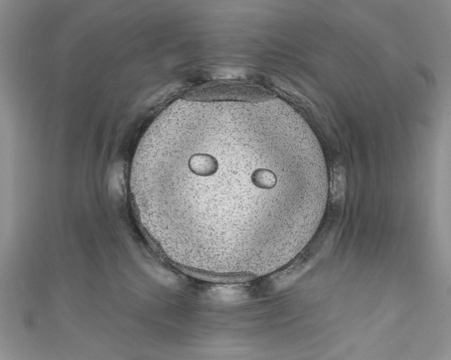 X0000111050280200907161411