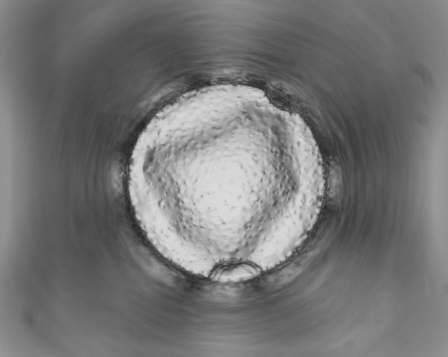 X0000111050282200907161411