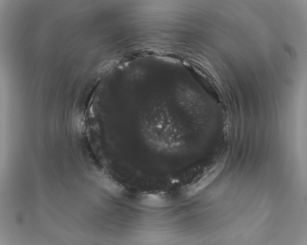 X0000111050285200907161411