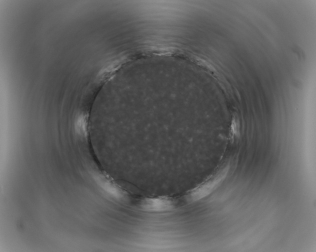 X0000111050286200907161411