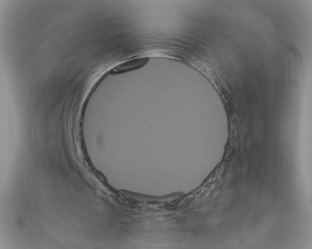 X0000111050289200907161411