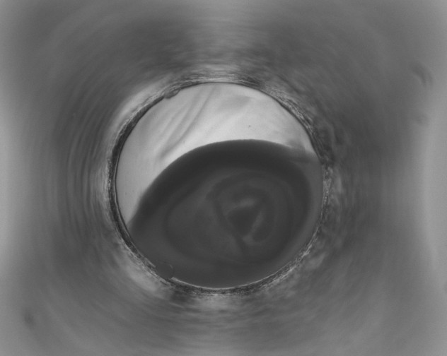 X0000111050293200907161411