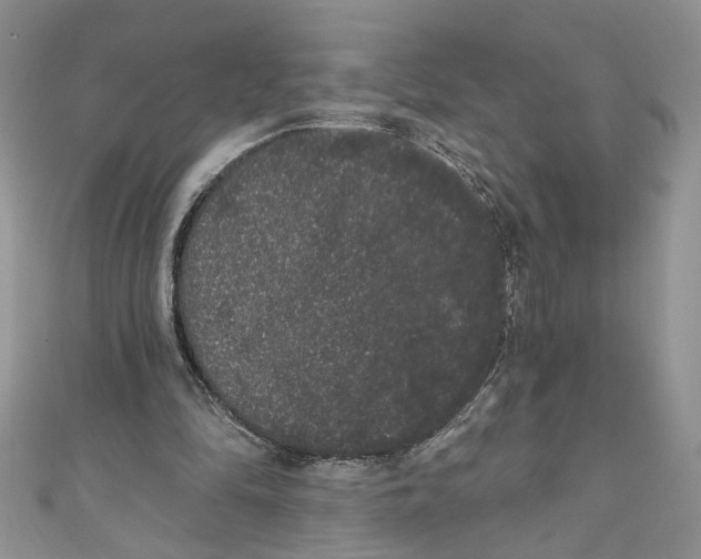 X0000111050294200907161411