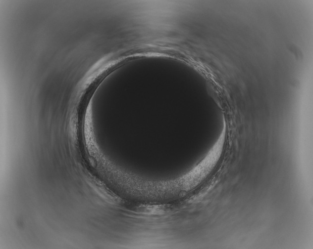 X0000111050295200907161411