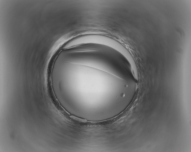 X0000111050296200907161411