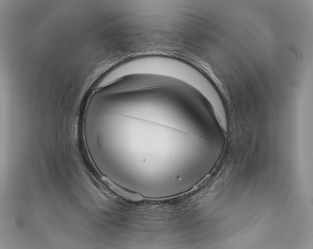 X0000111050299200907161410