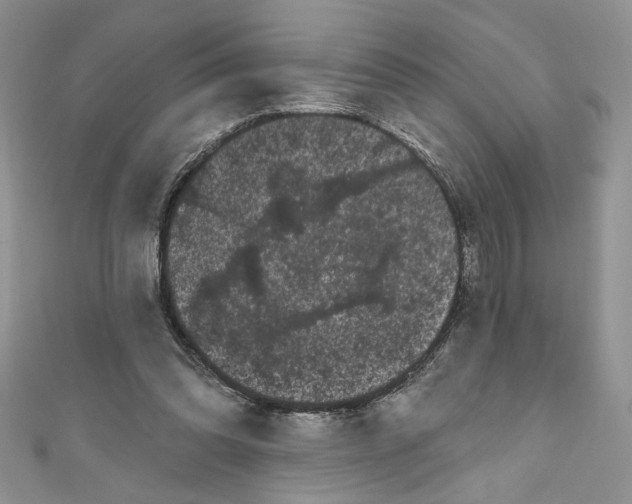 X0000111050302200907161410