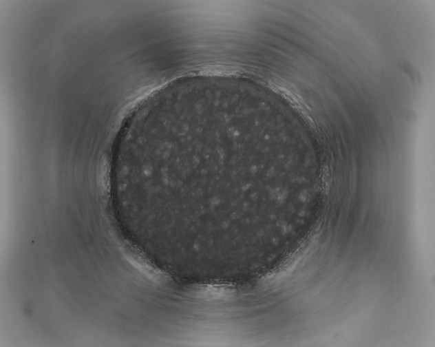 X0000111050303200907161410