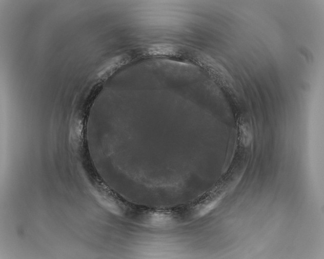 X0000111050308200907161410