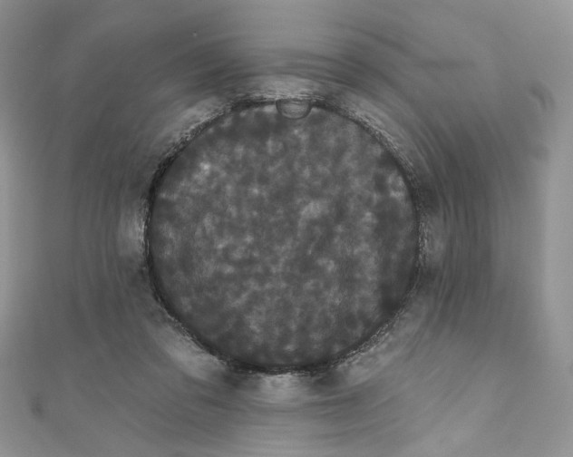 X0000111050309200907161410