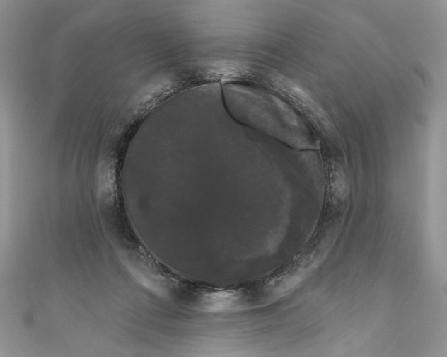 X0000111050312200907161410