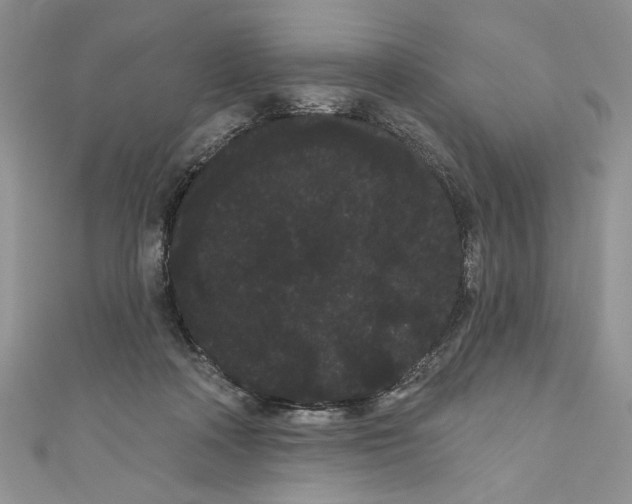 X0000111050314200907161410