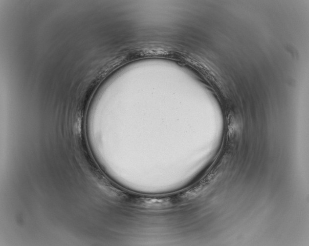 X0000111050315200907161410