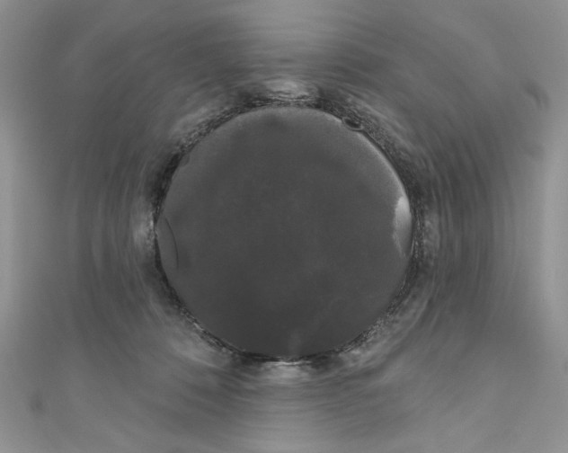 X0000111050320200907161410