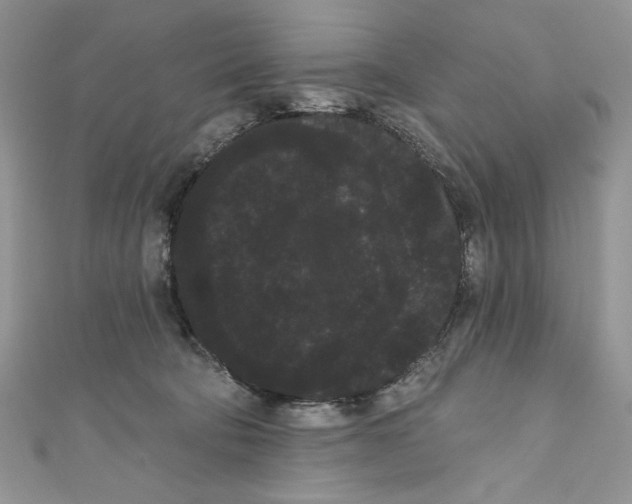 X0000111050322200907161410