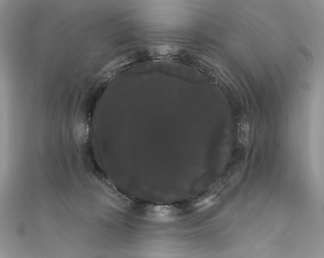 X0000111050324200907161410