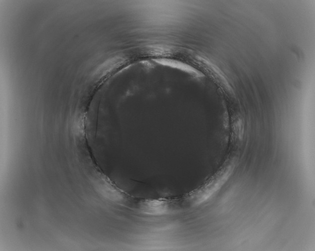 X0000111050325200907161410