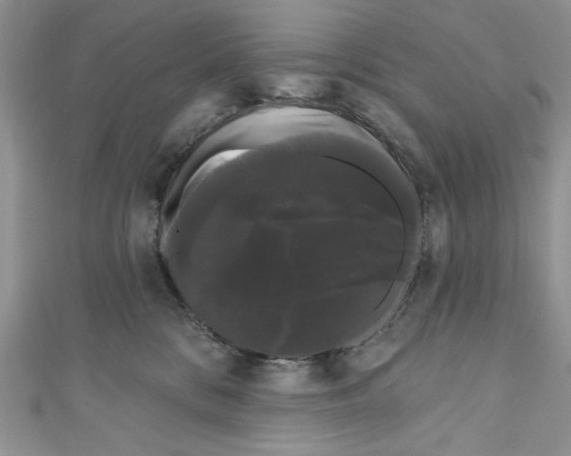 X0000111050328200907161410