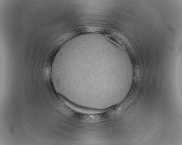 X0000111050329200907161410