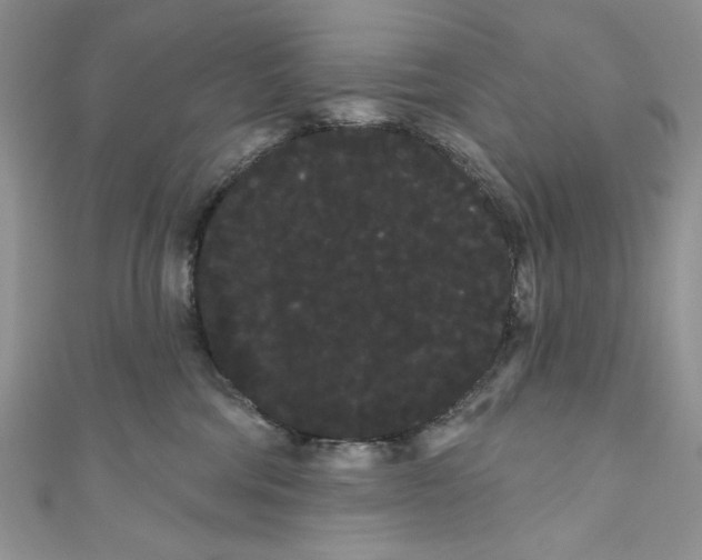 X0000111050330200907161410