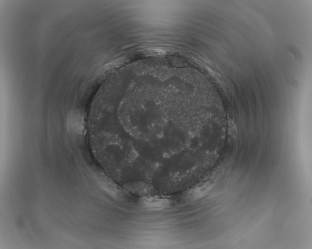 X0000111050331200907161410