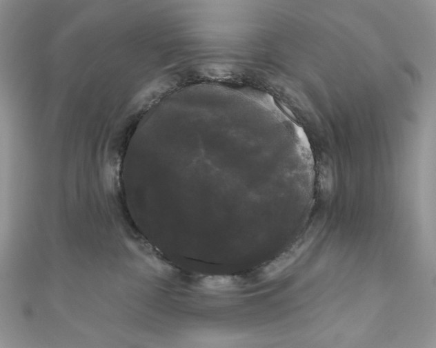 X0000111050332200907161410