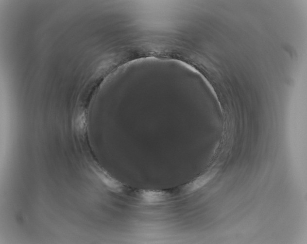 X0000111050336200907161410