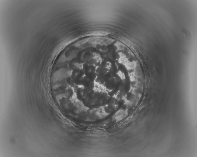 X0000111050337200907161409