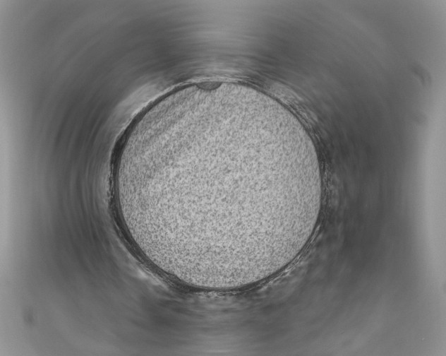 X0000111050338200907161409