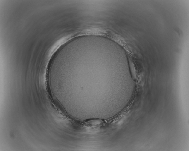 X0000111050340200907161409