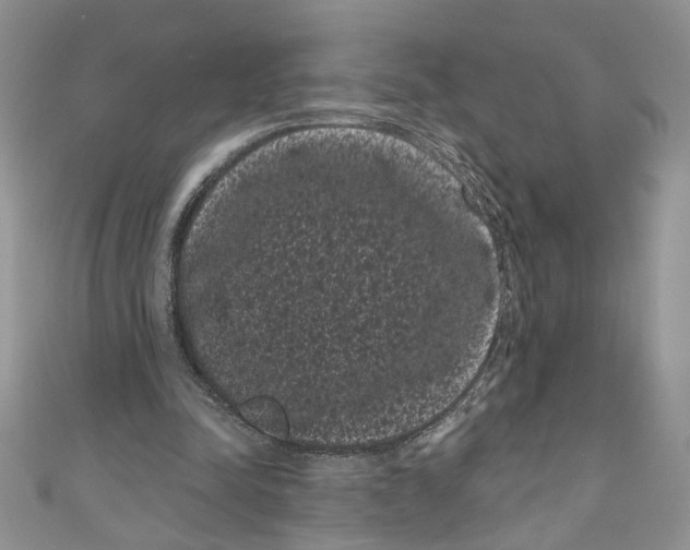 X0000111050342200907161409