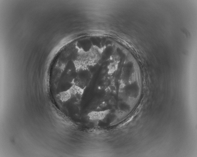 X0000111050343200907161409