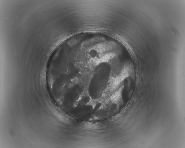 X0000111050346200907161410