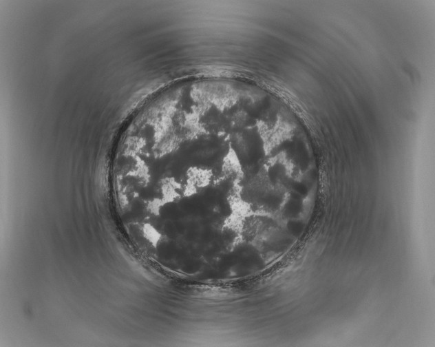 X0000111050347200907161410