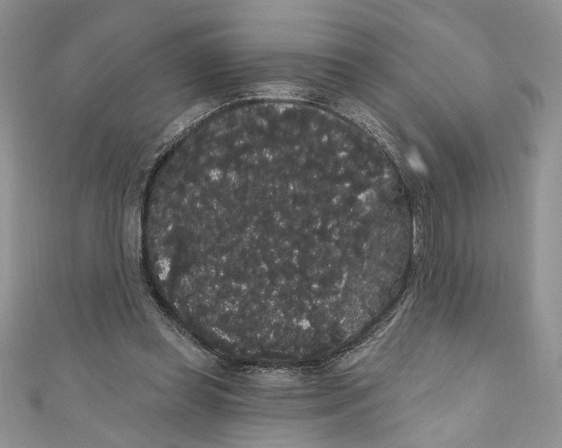 X0000111050349200907161410