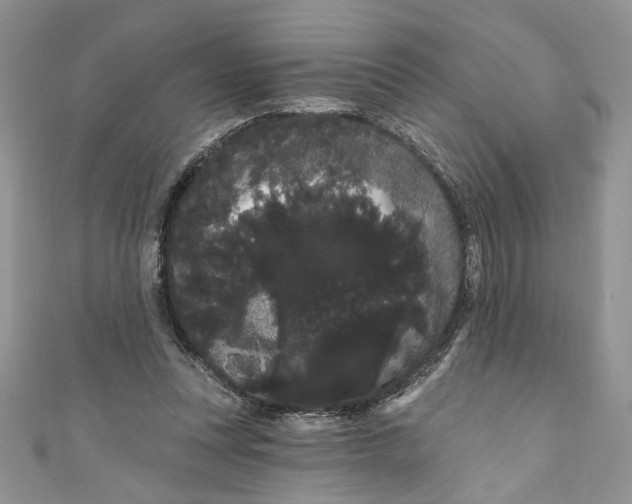 X0000111050351200907161410