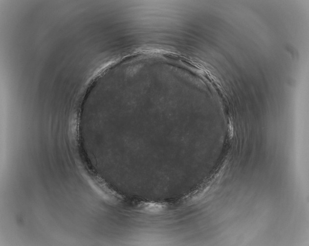 X0000111050352200907161410