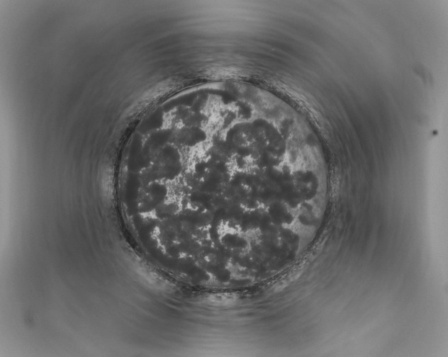 X0000111050353200907161410