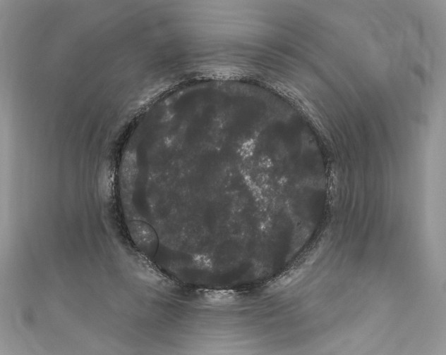 X0000111050355200907161410